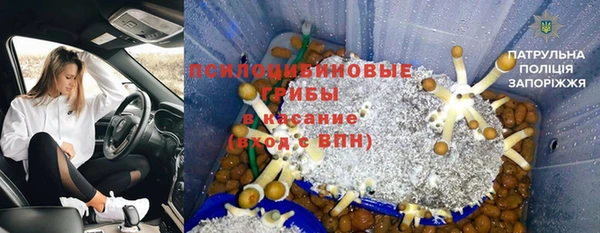 spice Армянск