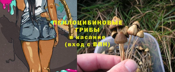 spice Армянск